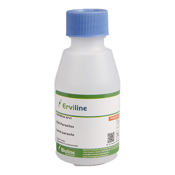 Erviline 250/125ml Bottle - Biological Control